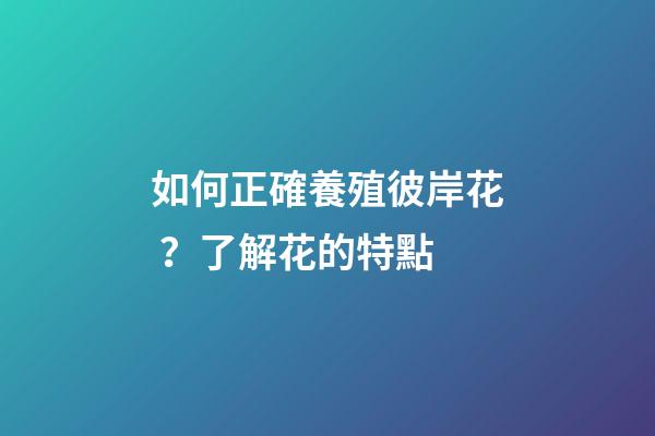 如何正確養殖彼岸花？了解花的特點